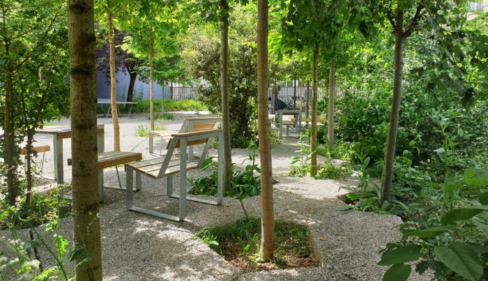 Lisière d'une Tierce Forêt